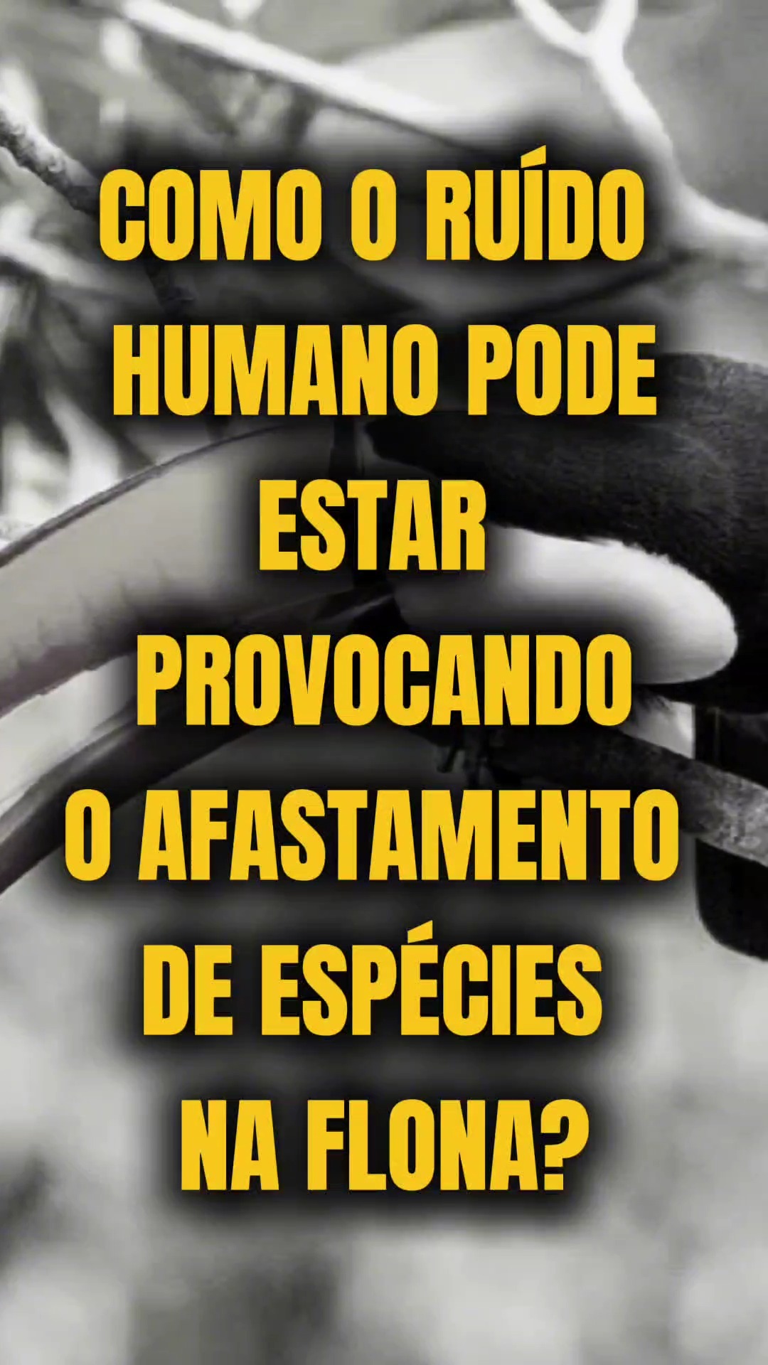 Já conferiu a última edição do jornal Uniso Ciência? 📚✨

Na primeira edição de 2026, o Uniso Ciência reúne pesquisas que conectam universidade, território e sociedade, com destaque para o estudo desenvolvido na Floresta Nacional de Ipanema, contribuindo para a preservação ambiental e para a compreensão dos impactos da presença humana na biodiversidade. 🌿

A edição também traz uma reflexão sobre a representatividade feminina no jornalismo literário brasileiro, ampliando o debate e valorizando trajetórias importantes na comunicação.

Dê o play e confira alguns destaques! A edição completa do jornal já está disponível para leitura no site uniso.br ou pelo link na bio. 💙

A Uniso é nota 5 no MEC! Confira no link da bio o cadastro da Instituição no Sistema e-MEC.

#UnisoCiência #JornalUnisoCiência #Pesquisa #DivulgaçãoCientífica #Ciência #UniversidadeDeSorocaba #Uniso #Nota5NoMEC