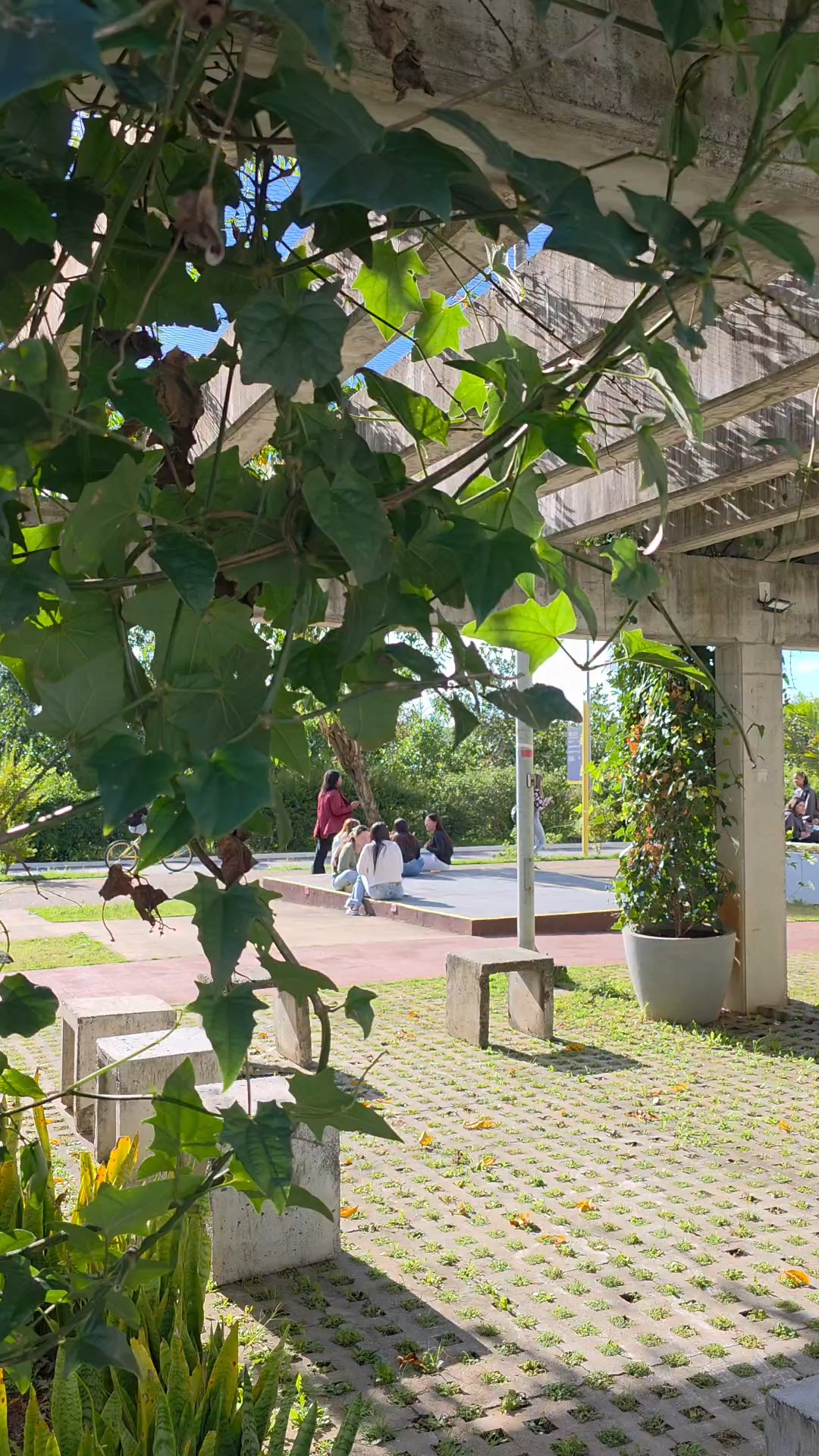 Tem duas coisas obrigatórias nesses dias por aqui: casaco e café. 😮‍💨❄️

Entre corredores gelados, salas cheias e aquela coragem para enfrentar o vento no câmpus, a Uniso segue cheia de movimento todos os dias.

Porque o semestre não espera a temperatura subir. 😅🎓

Dê o play e venha acompanhar mais um dia por aqui! 💙

A Uniso é nota 5 no MEC! Confira no link da bio o cadastro da Instituição no Sistema e-MEC.

#VidaUniversitária #RotinaUniso #Frio #Uniso #UniversidadeDeSorocaba #Nota5NoMEC