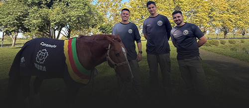 Professor da Uniso que participou do resgate do cavalo Caramelo no RS reencontra o animal após dois anos